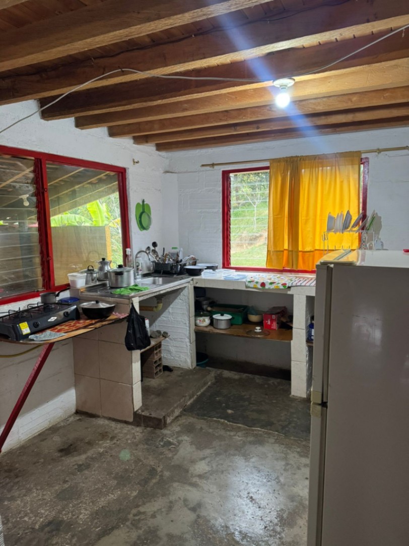 4M3V+QV, El Carmen de Viboral, Carmen de Viboral, Antioquia, Colombia 5